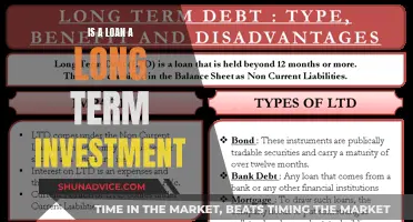 Debt or Asset? Understanding Loans as Long-Term Investments