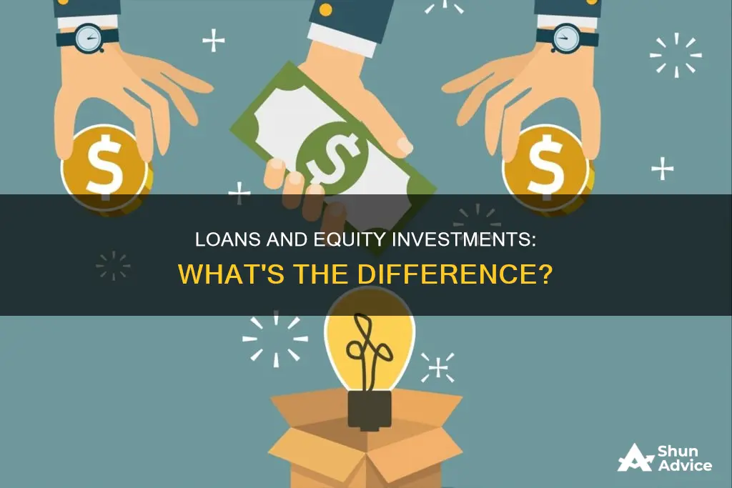 is a loan an equity investment