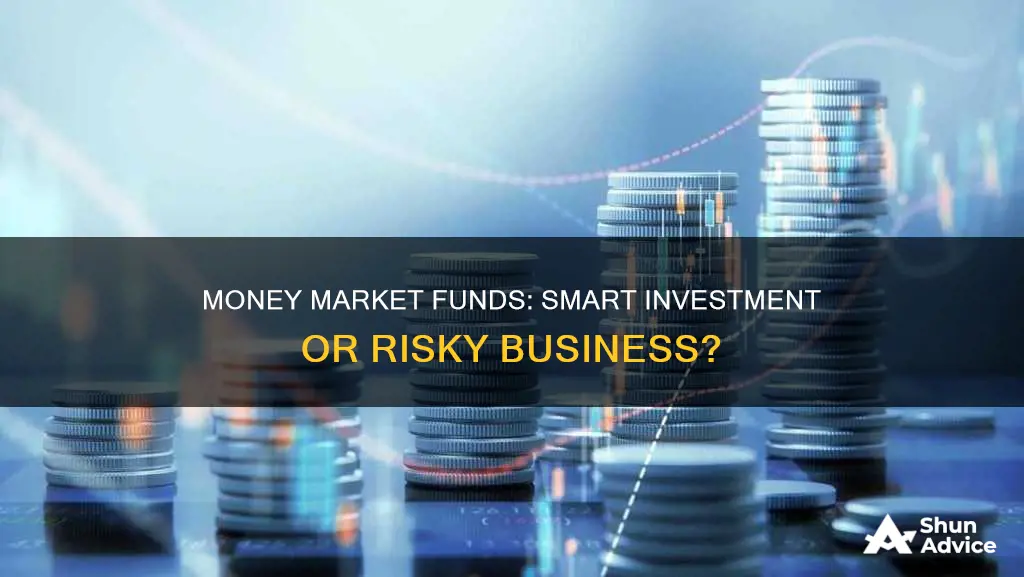 is a money market fund an investment