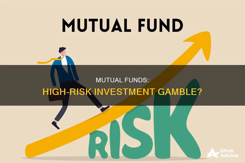 is a mutual fund a high risk investment