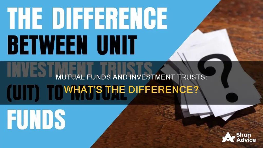 is a mutual fund like an investment trust of 1929