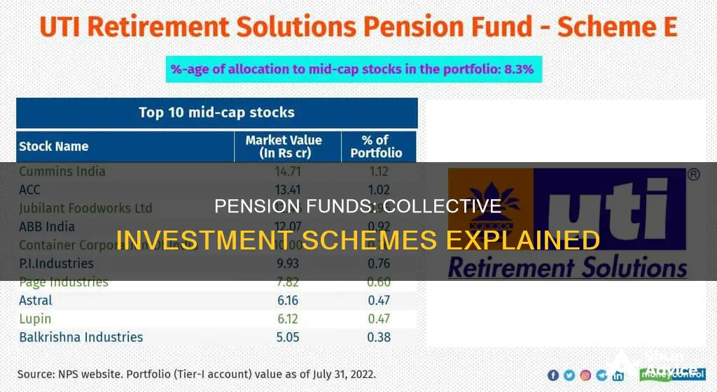 is a pension fund a collective investment scheme