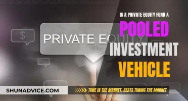 Private Equity Funds: Pooled Investment Vehicles Explained