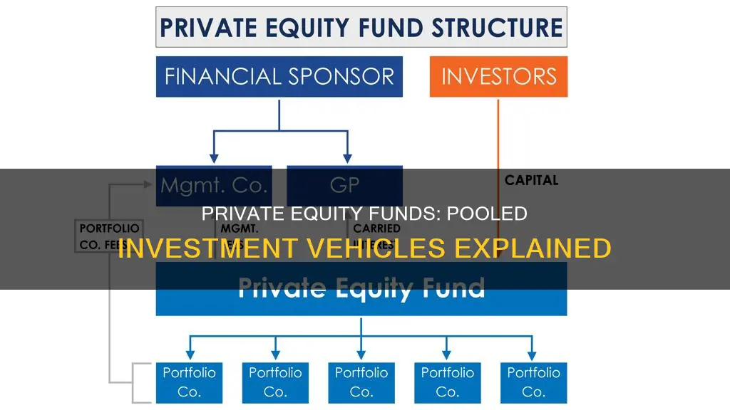 is a private equity fund a pooled investment vehicle