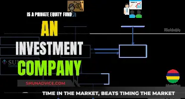 Private Equity Funds: Investment Companies or Not?