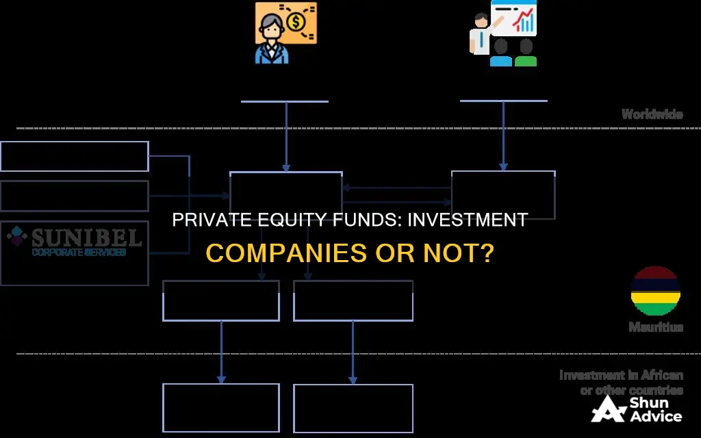 is a private equity fund an investment company