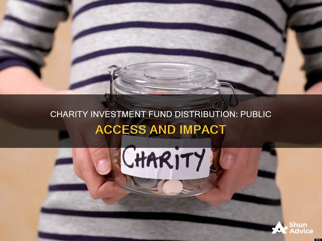 is a public charity investment fund distribution