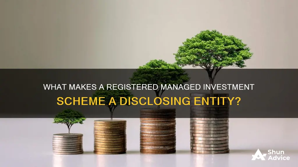 is a registered managed investment scheme a disclosing entity