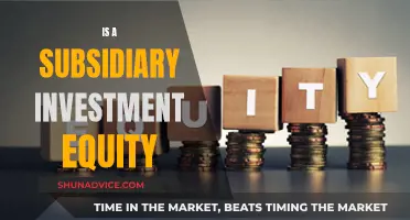 Understanding Subsidiary Investments: Are They Equity?