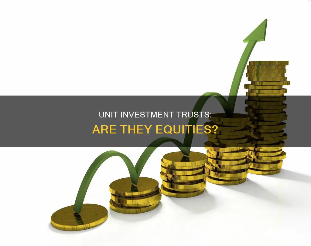 is a unit investment trust an equity