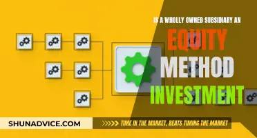 Equity Method Investment: Wholly Owned Subsidiary Explained