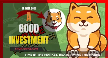 Akita Coin: A Wise Investment Decision?