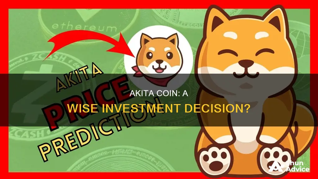 is akita coin a good investment