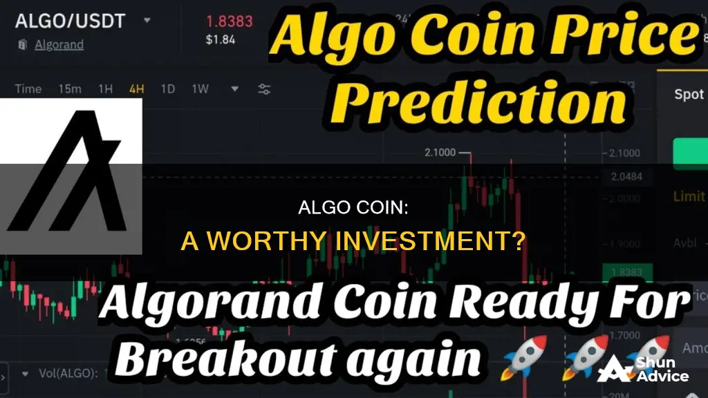 is algo coin a good investment