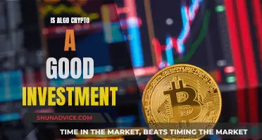 Algo Crypto: A Smart Investment Decision?