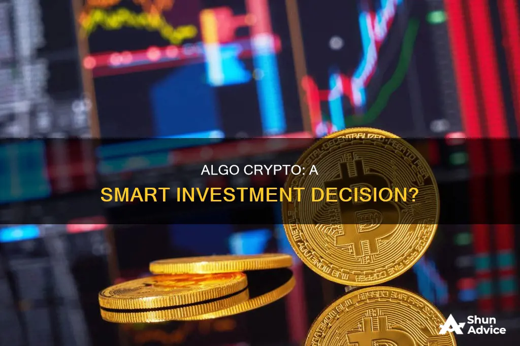 is algo crypto a good investment