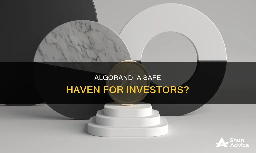 is algorand a safe investment