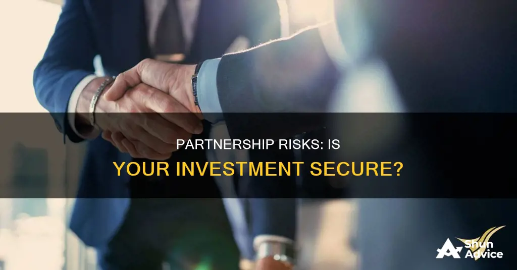 is all of your investment in this partnership at risk