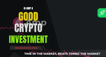 AMP Crypto Investment: A Good Bet?