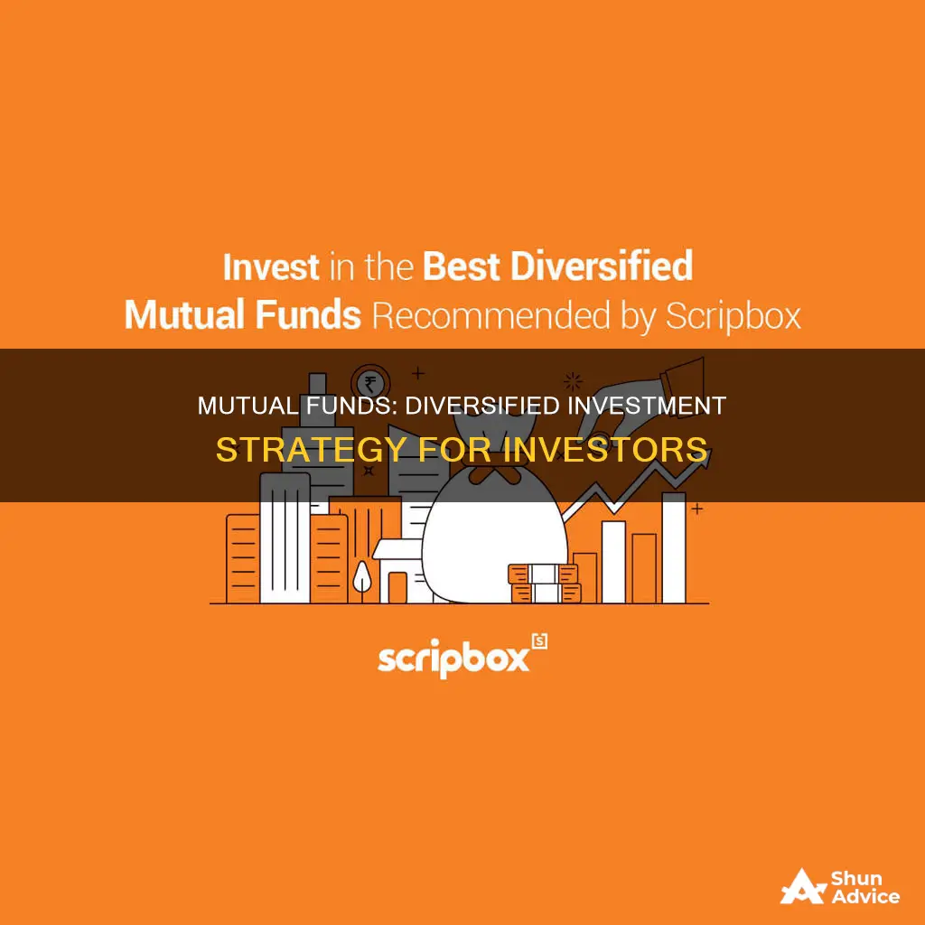 is amutual fund a diversified investment