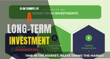 Unlocking Long-Term Wealth: The Power of Patient Investing