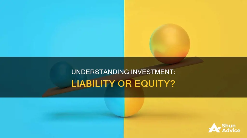 is an investment a lilibility ot equity