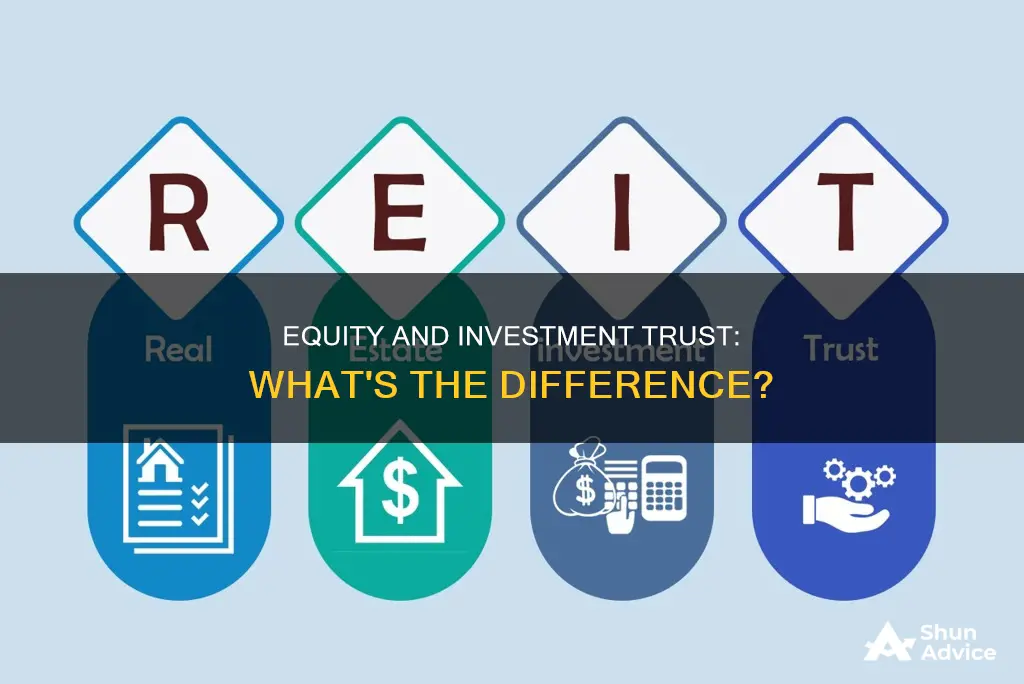 is an investment trust and equity