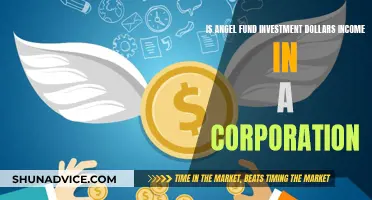 Angel Fund Investments: Dollars, Income, and Corporations