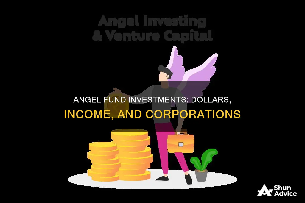 is angel fund investment dollars income in a corporation