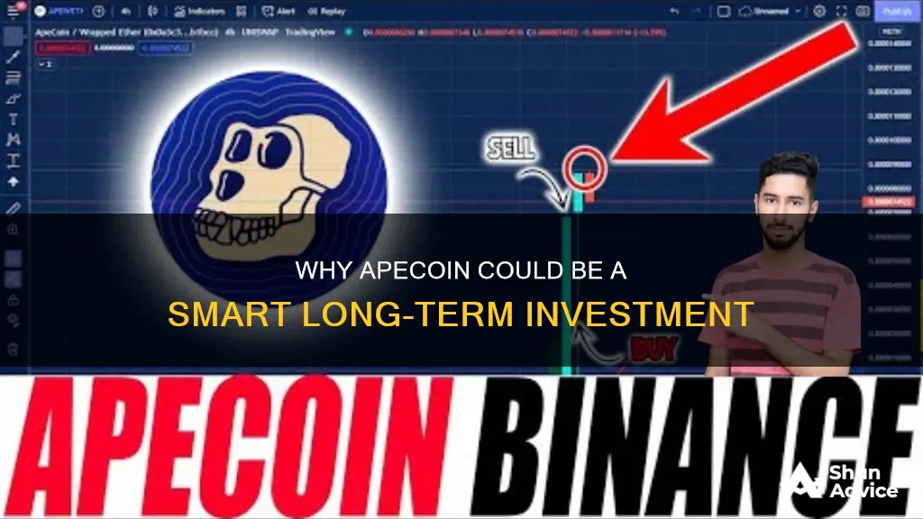 is apecoin a good long term investment