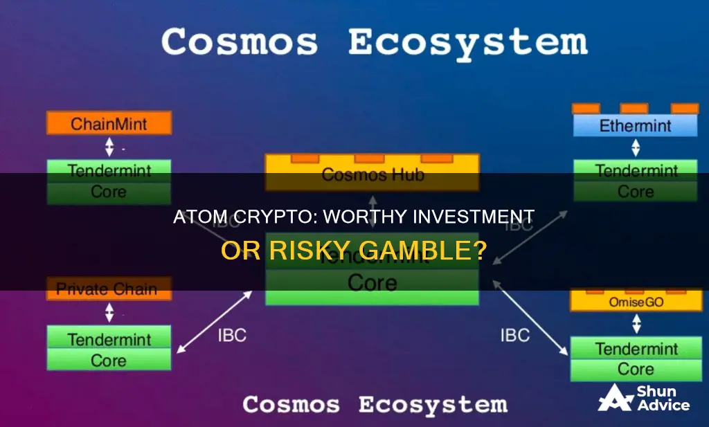 is atom crypto a good investment