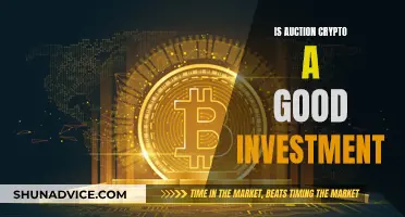 Auction Crypto: Worth Investing or Just a Fad?