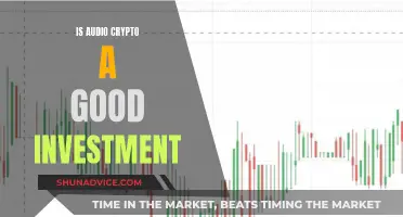 Audio Crypto: Worth the Investment Risk?