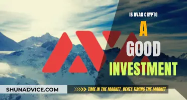 Avalanche Crypto: Smart Investment or Risky Business?