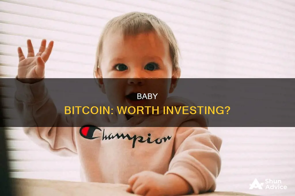 is baby bitcoin a good investment