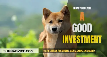 Baby Dogecoin: A Good Investment or Just Hype?