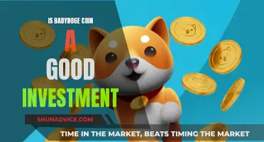 BabyDoge Coin: Is it a Good Investment?