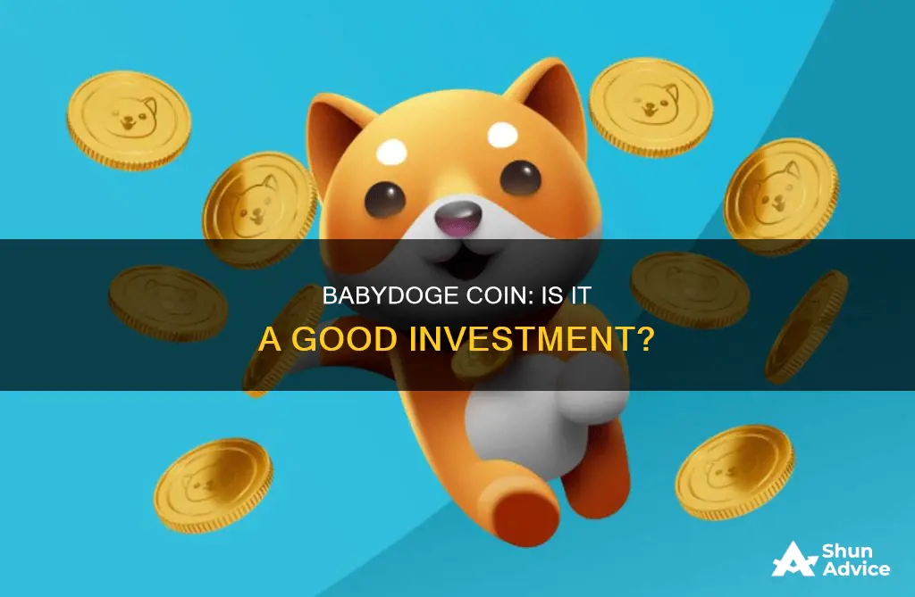 is babydoge coin a good investment