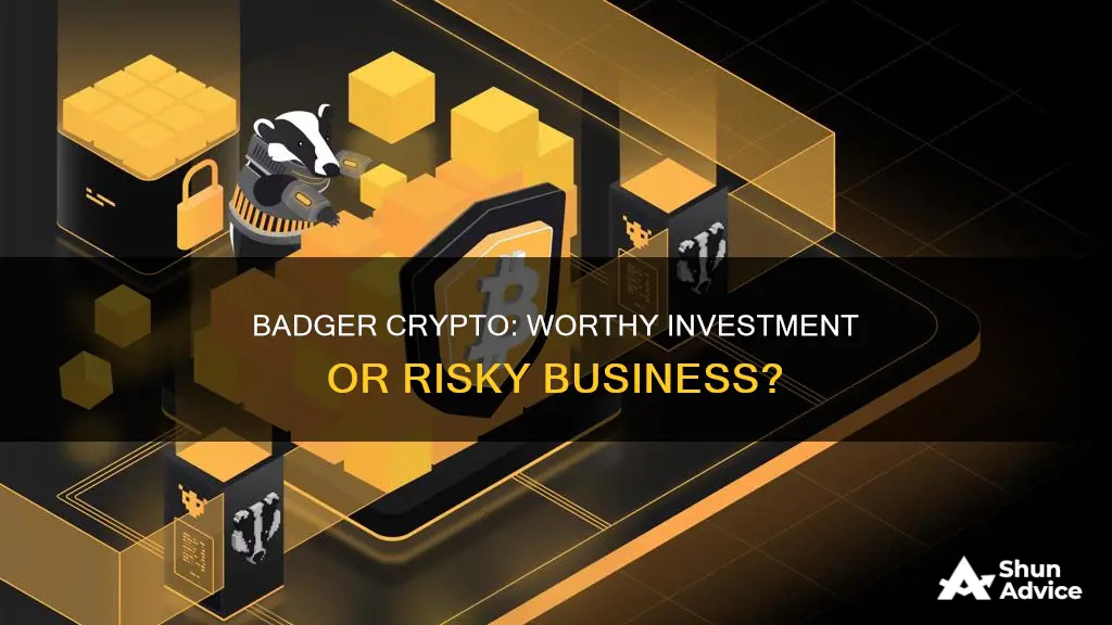 is badger crypto a good investment