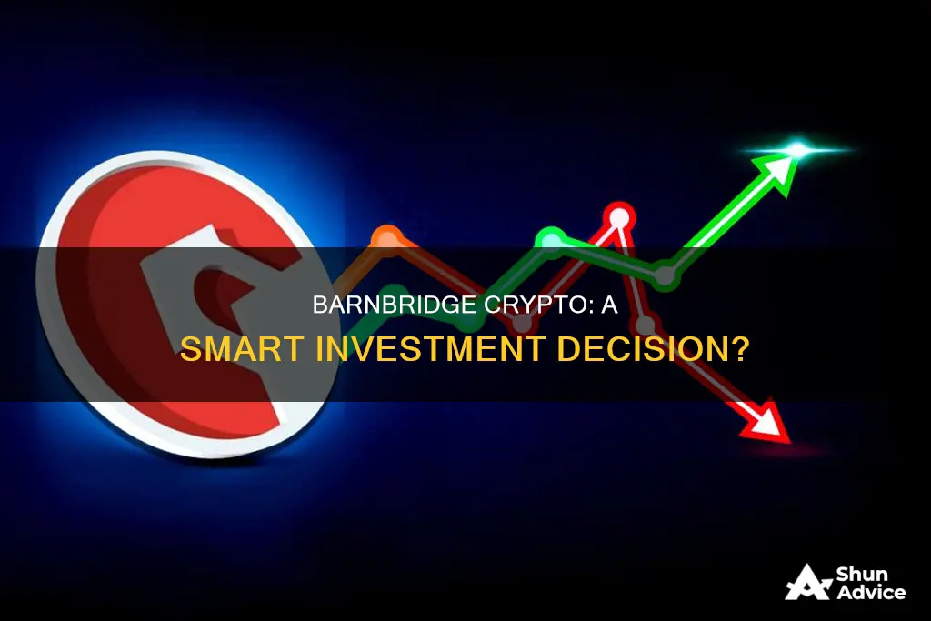 is barnbridge crypto a good investment