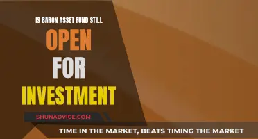 Baron Asset Fund: Open for Investment?