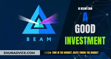 Beam Coin: A Good Investment Option?