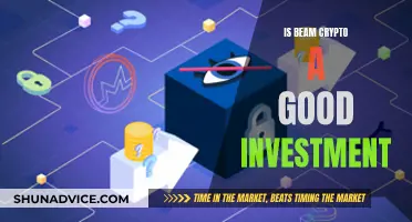 Should You Invest in Beam Crypto?