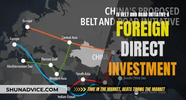 The Belt and Road Initiative: A Foreign Investment Perspective