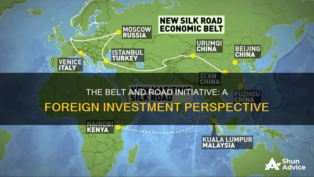 is belt and road initiative a foreign direct investment