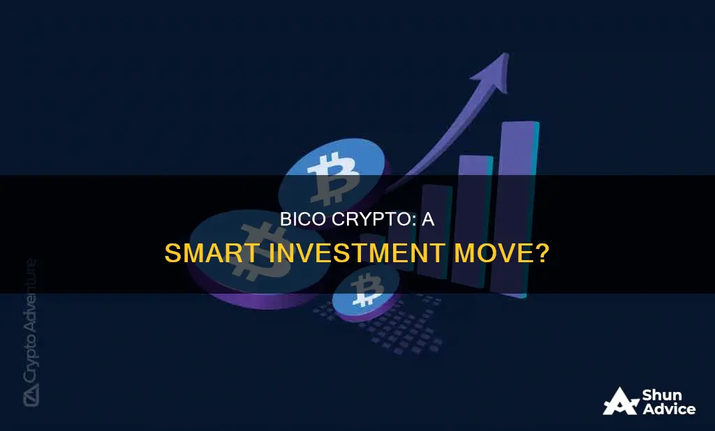 is bico crypto a good investment