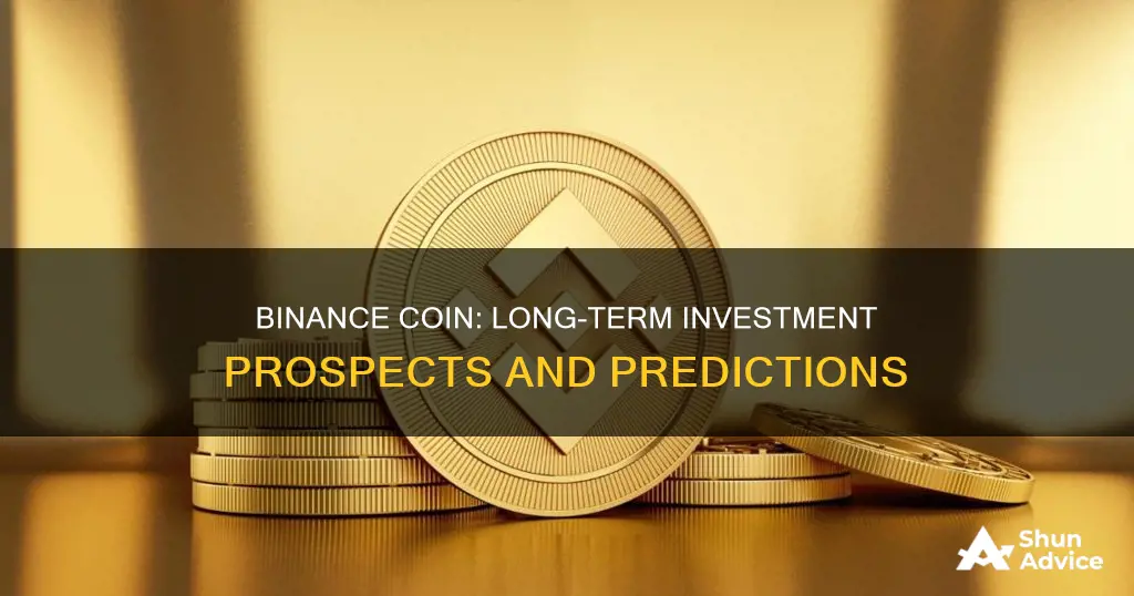 is binance coin a good long term investment