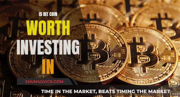 Bitcoin: Invest or Avoid?