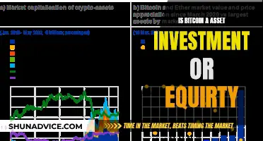 Bitcoin: Asset or Equity?