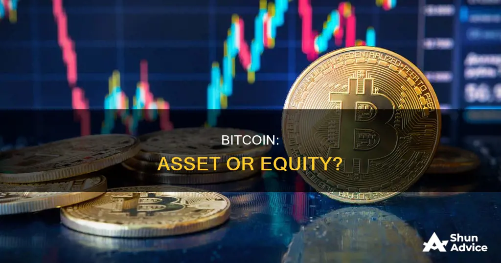 is bitcoin a asset investment or equirty